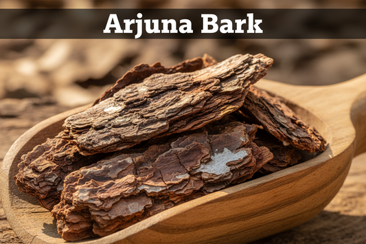 Herbs Traditionally Used to Support Healthy Circulation herbs