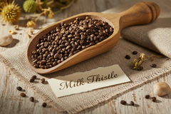 Milk Thistle