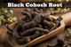 Black Cohosh Root