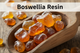 Boswellia Extract