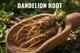 Dandelion Root