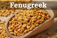 Fenugreek Seeds
