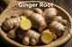 Ginger Root