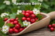 Hawthorn Berry