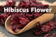 Hibiscus Flower