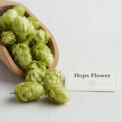 Hops Flower