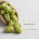 Hops Flower