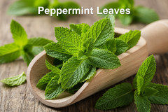 Peppermint