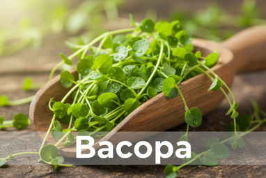 Produce an enlarged photo realistic vivid image of Bacopa in a wooden scoop, add a bold caption "Bacopa"