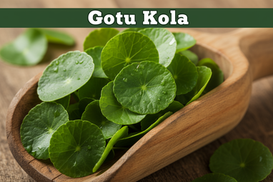 Produce an enlarged photo realistic vivid image of Gotu Kola in a wooden scoop, add a bold caption "Gotu Kola"
