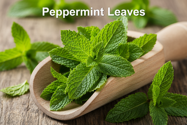 Produce an enlarged photo realistic vivid image of Peppermint Leaves in a wooden scoop, add a bold caption "Peppermint Leaves"