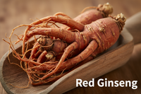 RED GINSENG