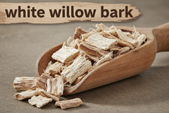 White Willow Bark